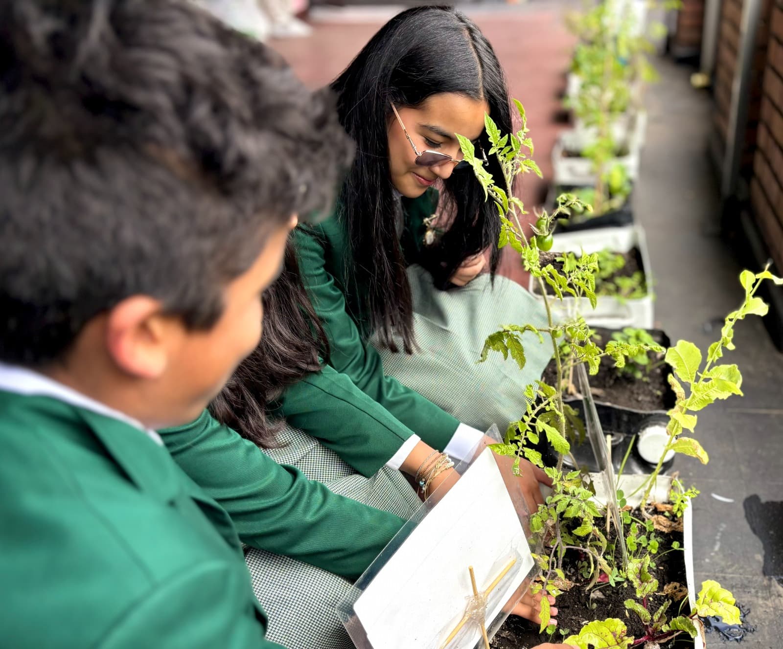 Sowing the Future: The Journey of Our School Garden